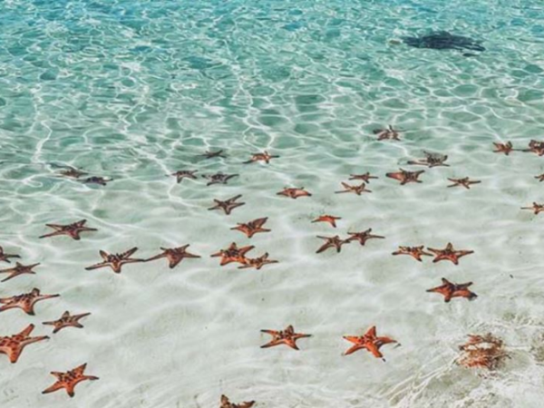 VIAJE INOLVIDABLE PARA PAREJAS EN VIETNAM DE 14 DÍAS